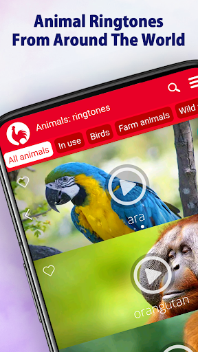 Animal Ringtones MOD screenshot 1