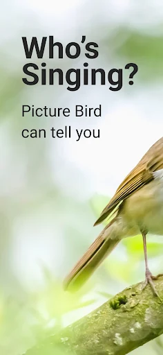 Picture Bird MOD screenshot 1