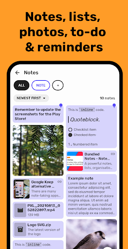 Bundled Notes MOD screenshot 1
