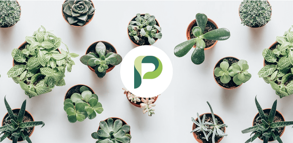 Planta screenshot 1