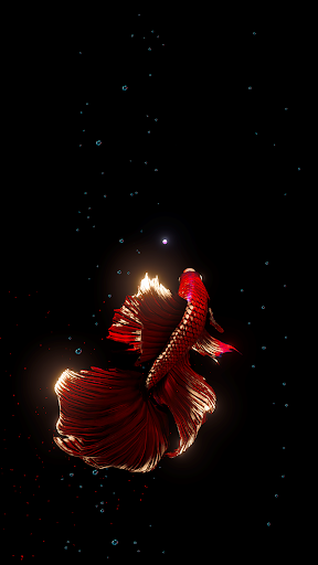BETTA 120HZ screenshot 1
