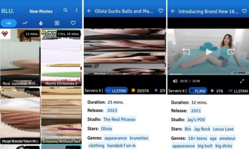 Blu Movies screenshot 2
