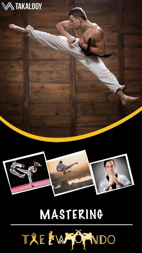 Mastering Taekwondo at Home screenshot 2