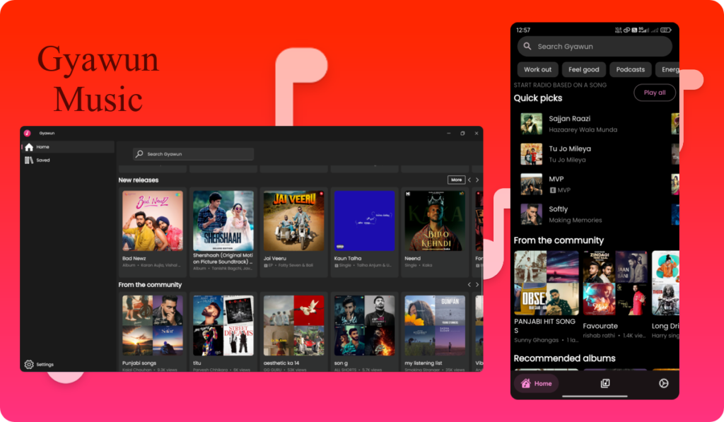 Gyawun Music screenshot 2