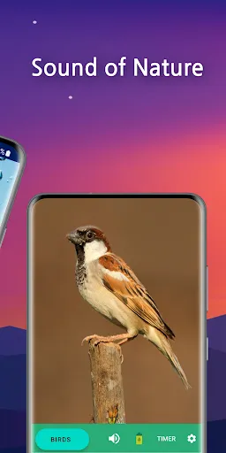 Sleep Faster, Meditation Pro 2.14.98 APK + MOD [Extra, AD-Free] screenshot 2