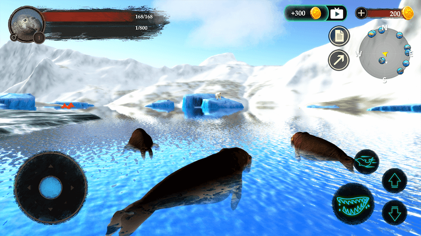 The Seal Elephant screenshot 2