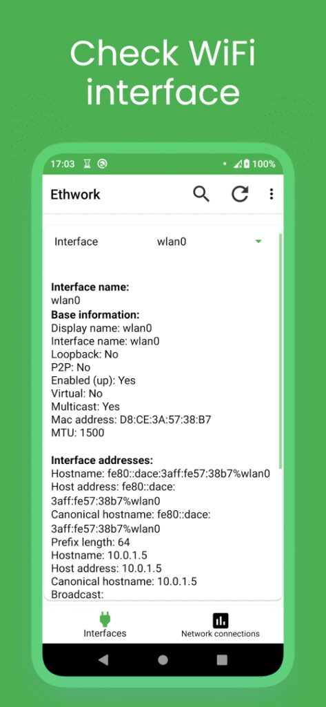 Ethwork: Netstat & Interfaces screenshot 2