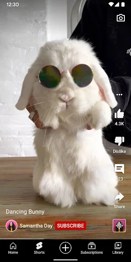 YouTube screenshot 2