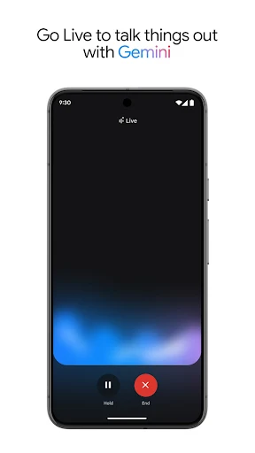 Google Gemini screenshot 2