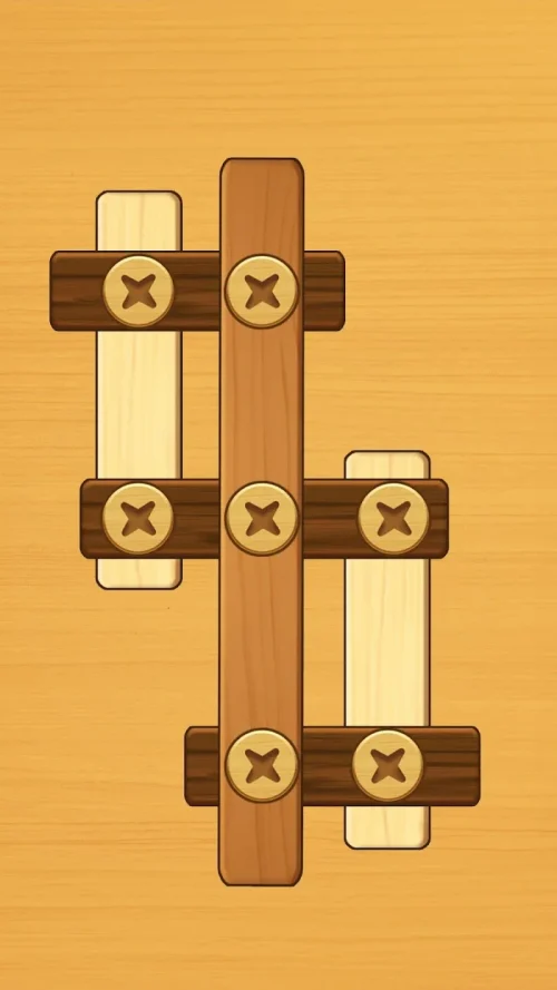Screw Puzzle: Wood Nut & Bolt™ screenshot 2