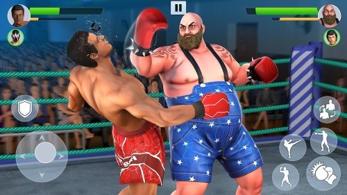 Tag Team Boxing screenshot 2