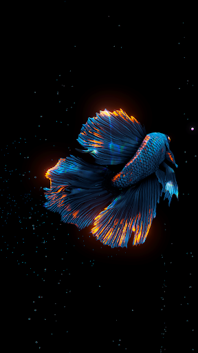 BETTA 120HZ screenshot 2