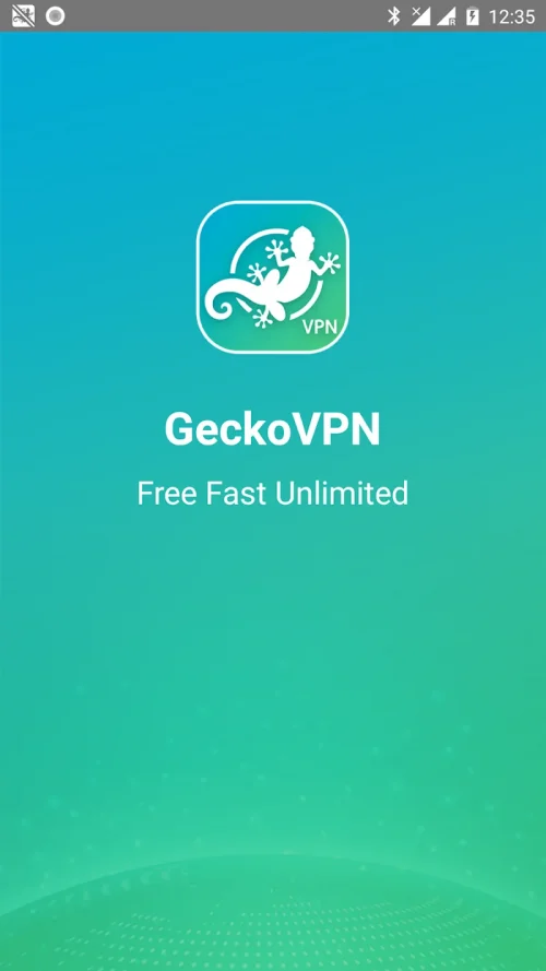 GeckoVPN screenshot 2