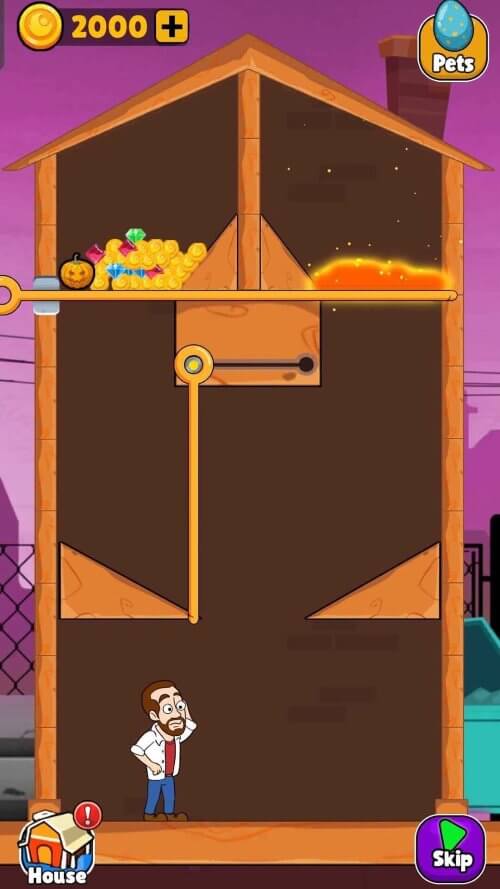 Home Pin: Pull The Pin Puzzle screenshot 2