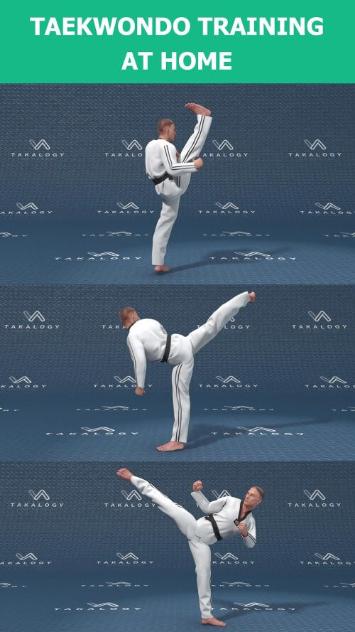 Mastering Taekwondo at Home screenshot 3