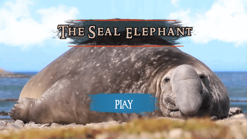 The Seal Elephant screenshot 3