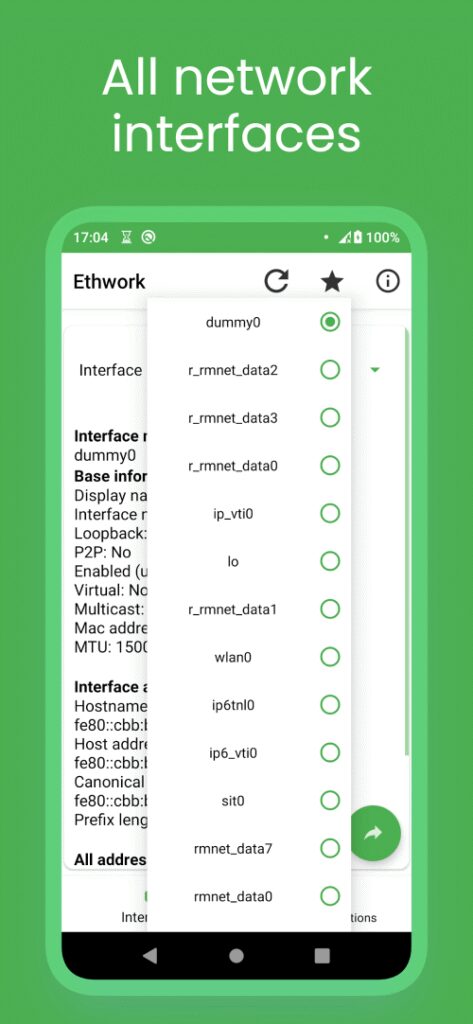 Ethwork: Netstat & Interfaces screenshot 3