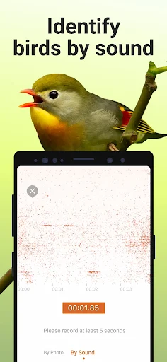 Picture Bird MOD screenshot 3