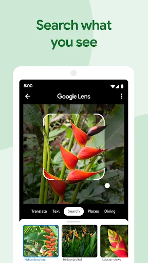Google Photos MOD screenshot 3