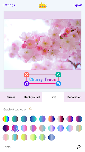 White Border MOD screenshot 3