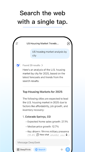 DeepSeek screenshot 3