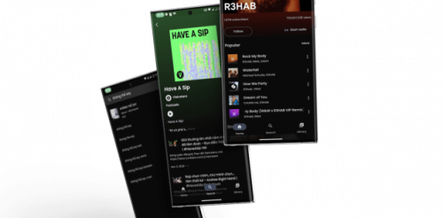 SimpMusic screenshot 3