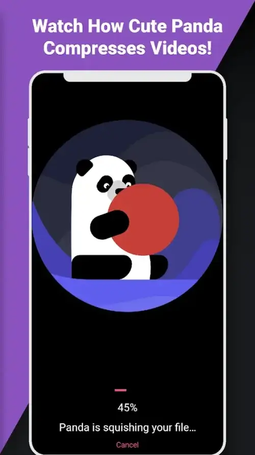 Video Compressor Panda Resizer screenshot 3