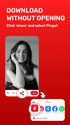 Pinterest Video Downloader screenshot 3