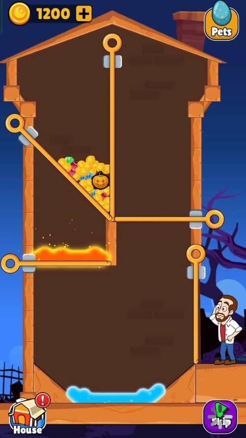 Home Pin: Pull The Pin Puzzle screenshot 3
