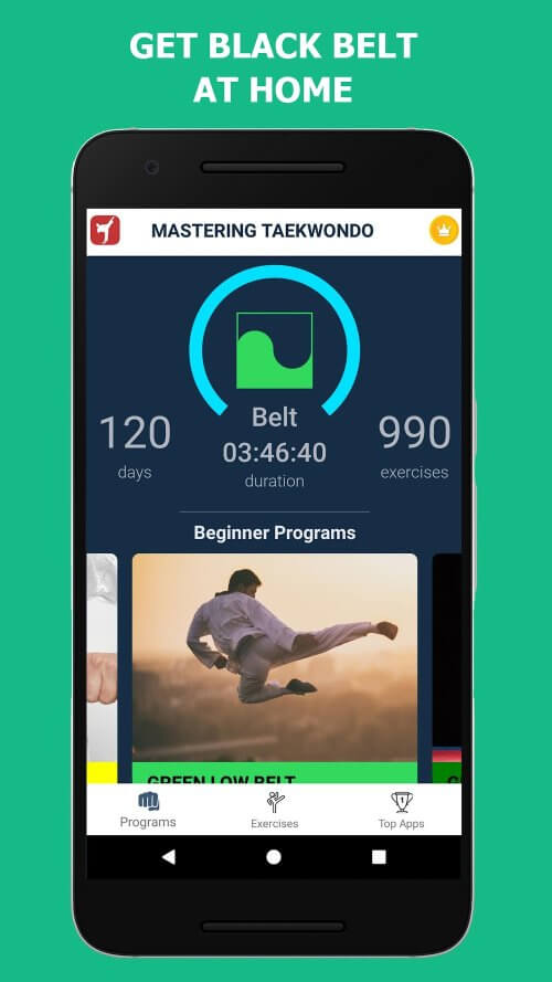 Mastering Taekwondo at Home screenshot 4