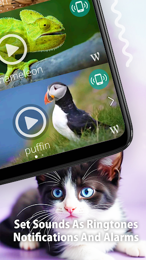 Animal Ringtones MOD screenshot 4