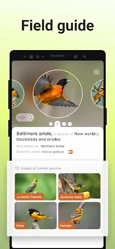 Picture Bird MOD screenshot 4