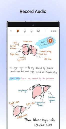 Noteshelf MOD screenshot 4