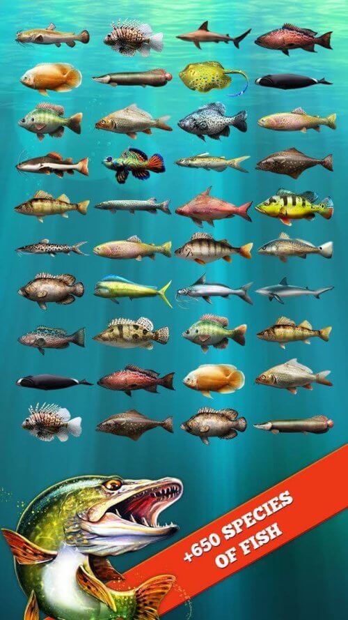 Let’s Fish: Fishing Simulator screenshot 4