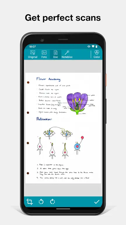 Notebloc Scanner screenshot 4