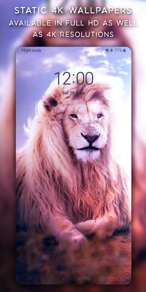 Live Wallpapers, 4K Wallpapers screenshot 5