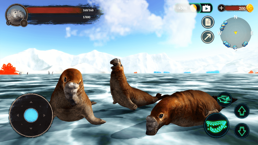 The Seal Elephant screenshot 5