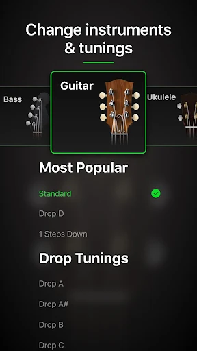 Guitar Tuner Pro screenshot 5