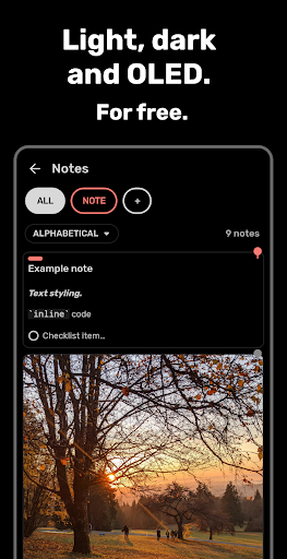 Bundled Notes MOD screenshot 5