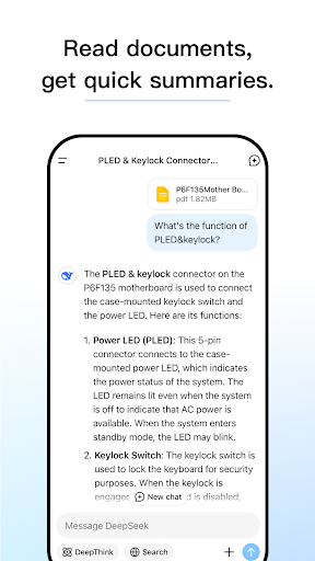 DeepSeek screenshot 5