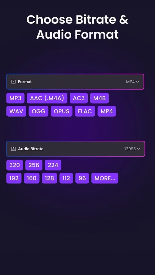 Video to Audio MP3 Converter screenshot 5
