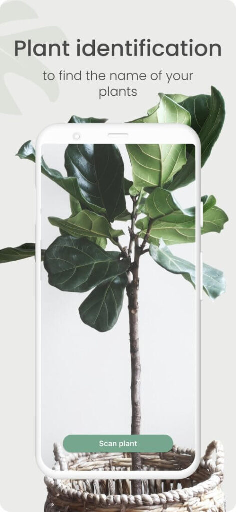 Planta screenshot 5