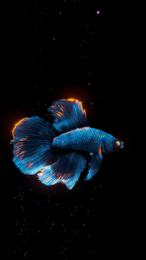BETTA 120HZ screenshot 5