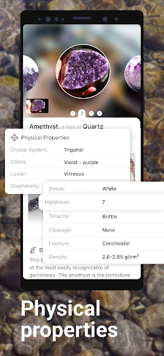 Rock Identifier MOD screenshot 5