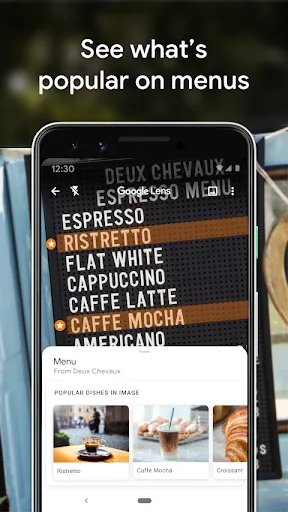 Google Lens screenshot 5