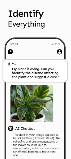 AI Chatbot for DeepSeek R1+ MOD screenshot 6