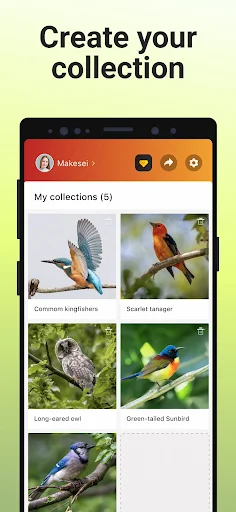 Picture Bird MOD screenshot 6