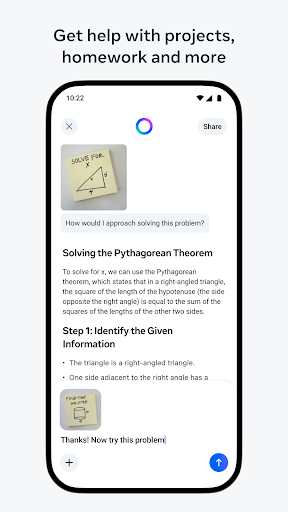 Meta AI screenshot 6