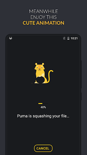 Puma: Photo Resizer Compressor MOD screenshot 6