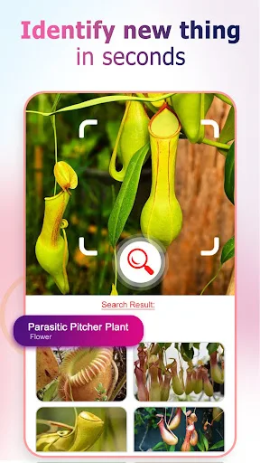 Reverse Image Search Finder MOD screenshot 6
